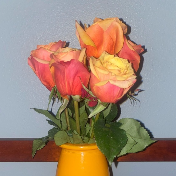 Meet your Posher, Alexis - Picture 1 of 1